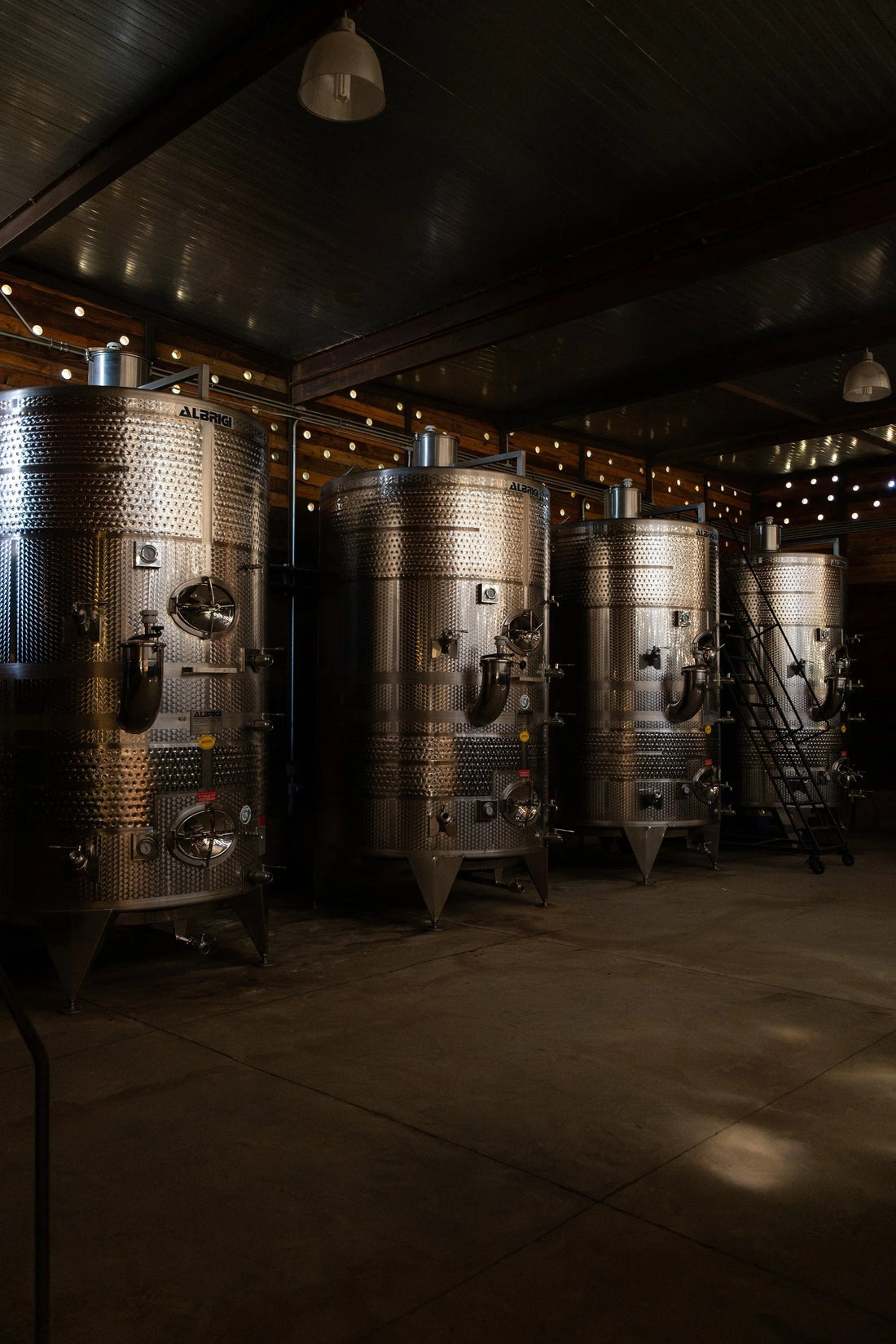 Guía Para Un Consumo Consciente y Seguro