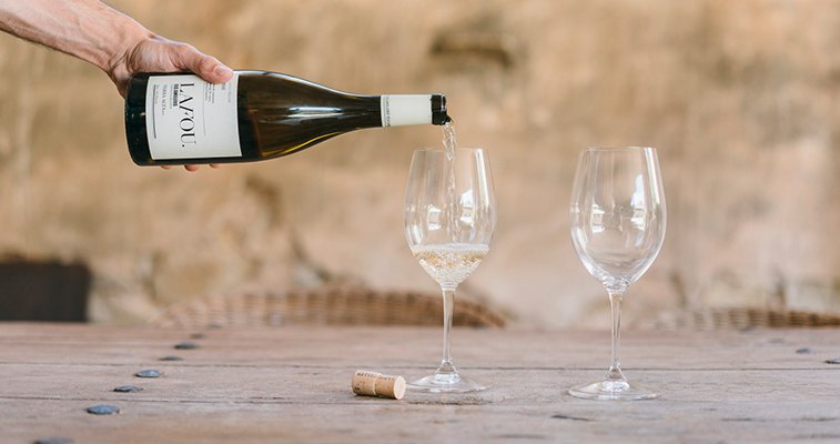 Principios Básicos Para Potenciar Vinos y Comidas