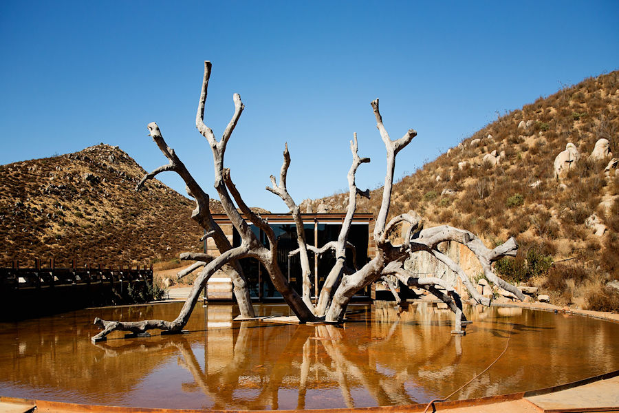 Rutas Líquidas: Geografía y Cultura del México Bebible