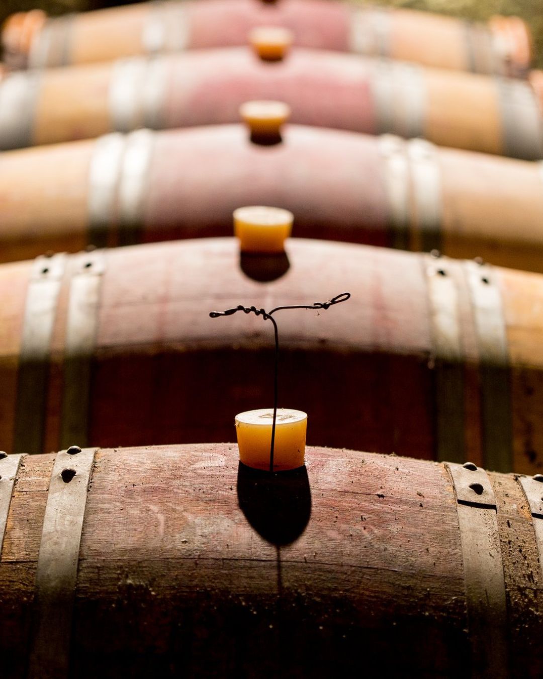 Domaine Fabien Duveau