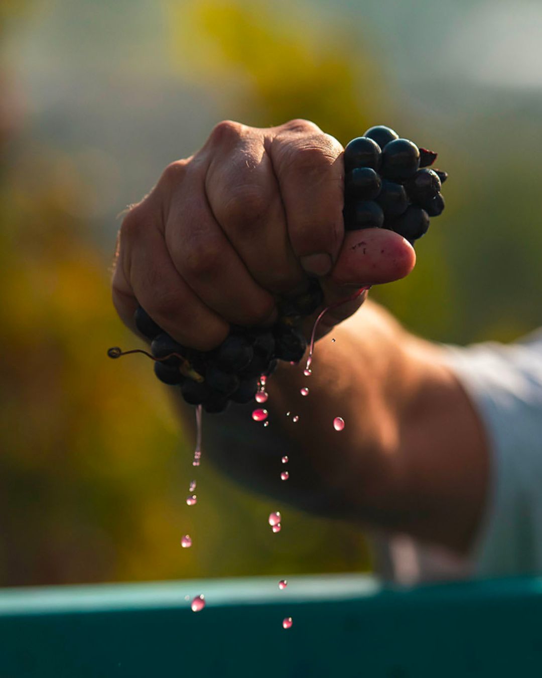 Maison Les Alexandrins