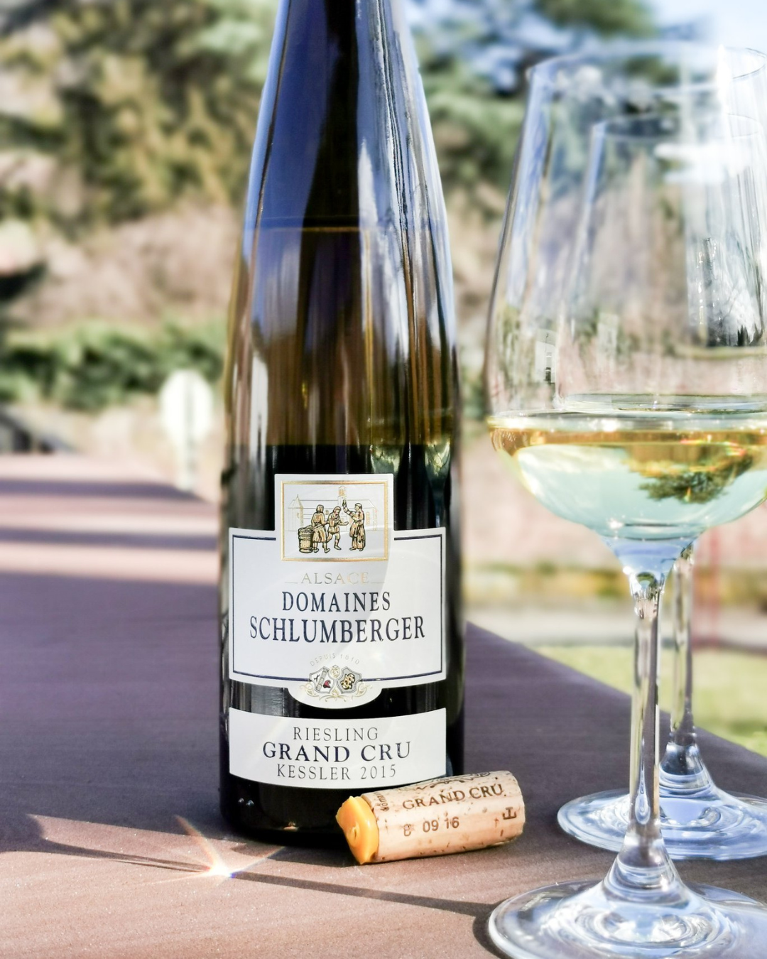 Domaines Schlumberger