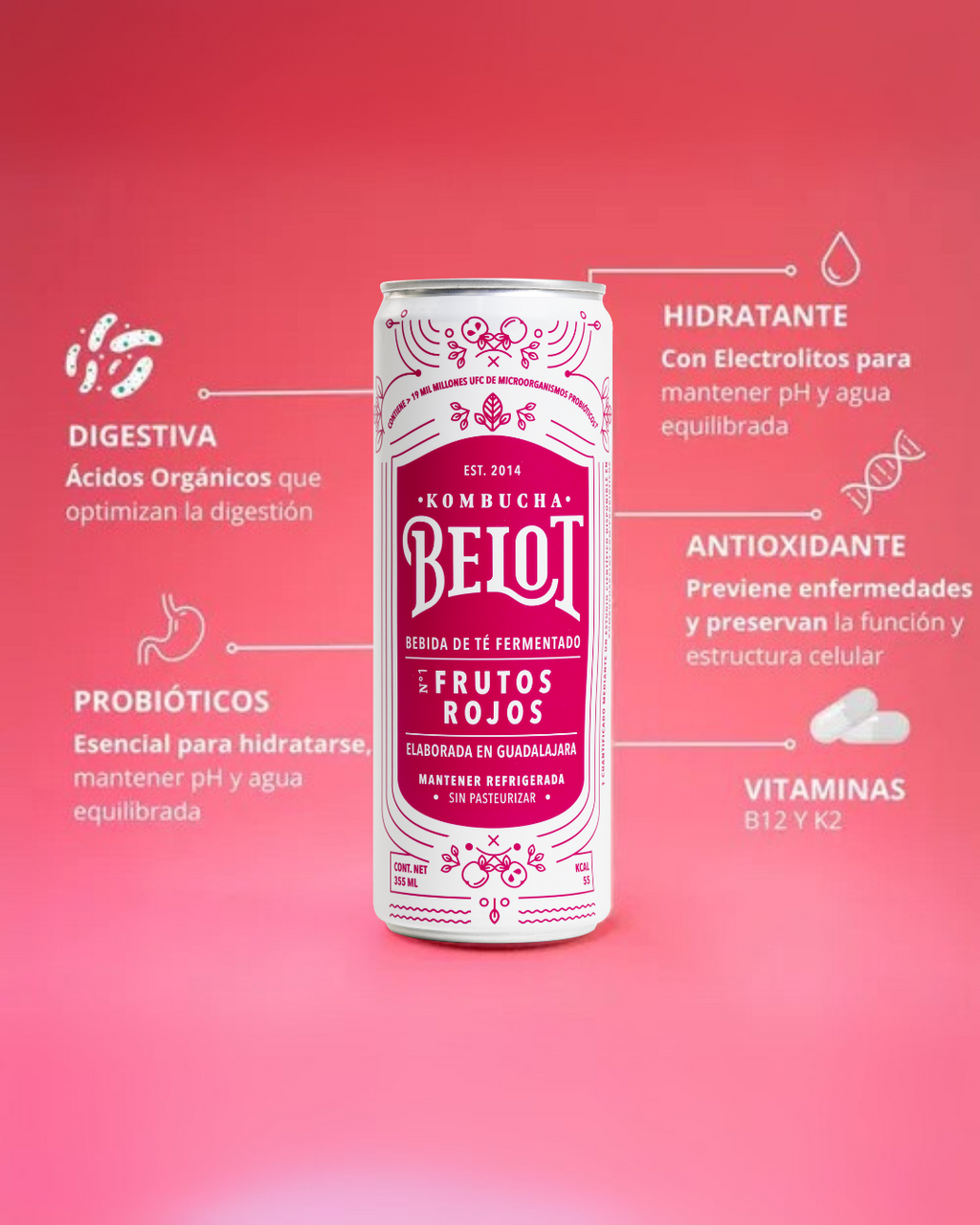 Kombucha Frutos Rojos - Belot
