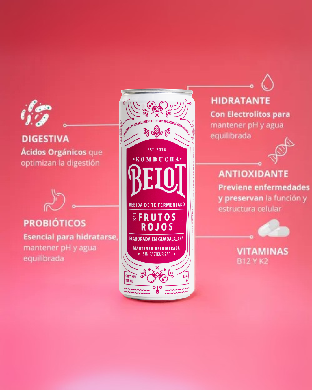 Kombucha Frutos Rojos - Belot