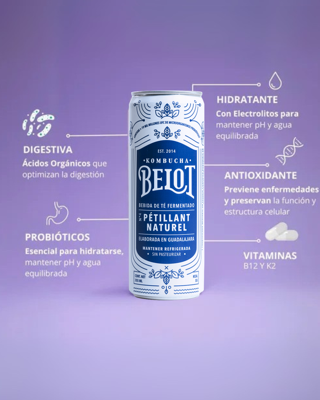 Kombucha Natural - Belot