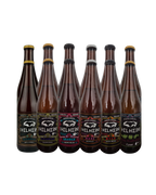 Paquete Mixto de 12 hidromieles - Helheim