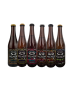 Paquete Mixto de 6 hidromieles - Helheim