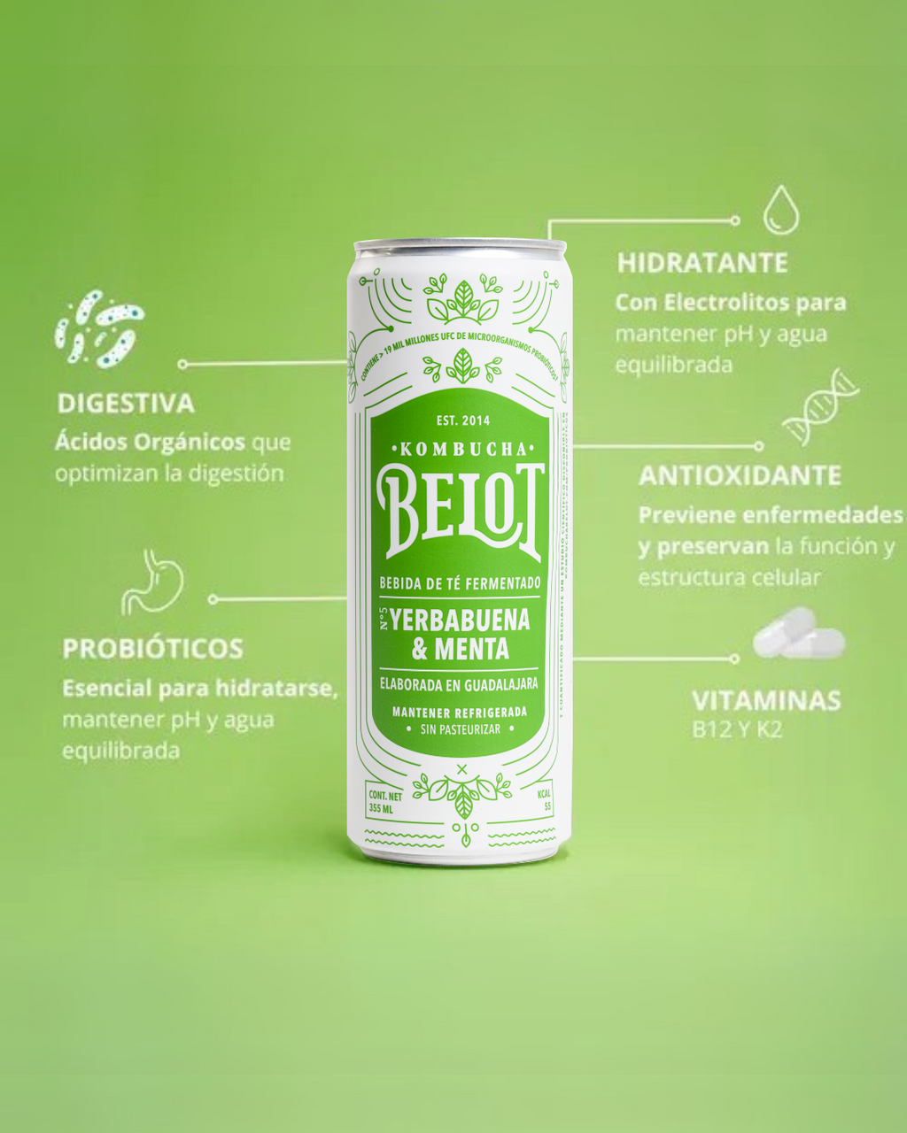 Kombucha Yerbabuena y Menta - Belot