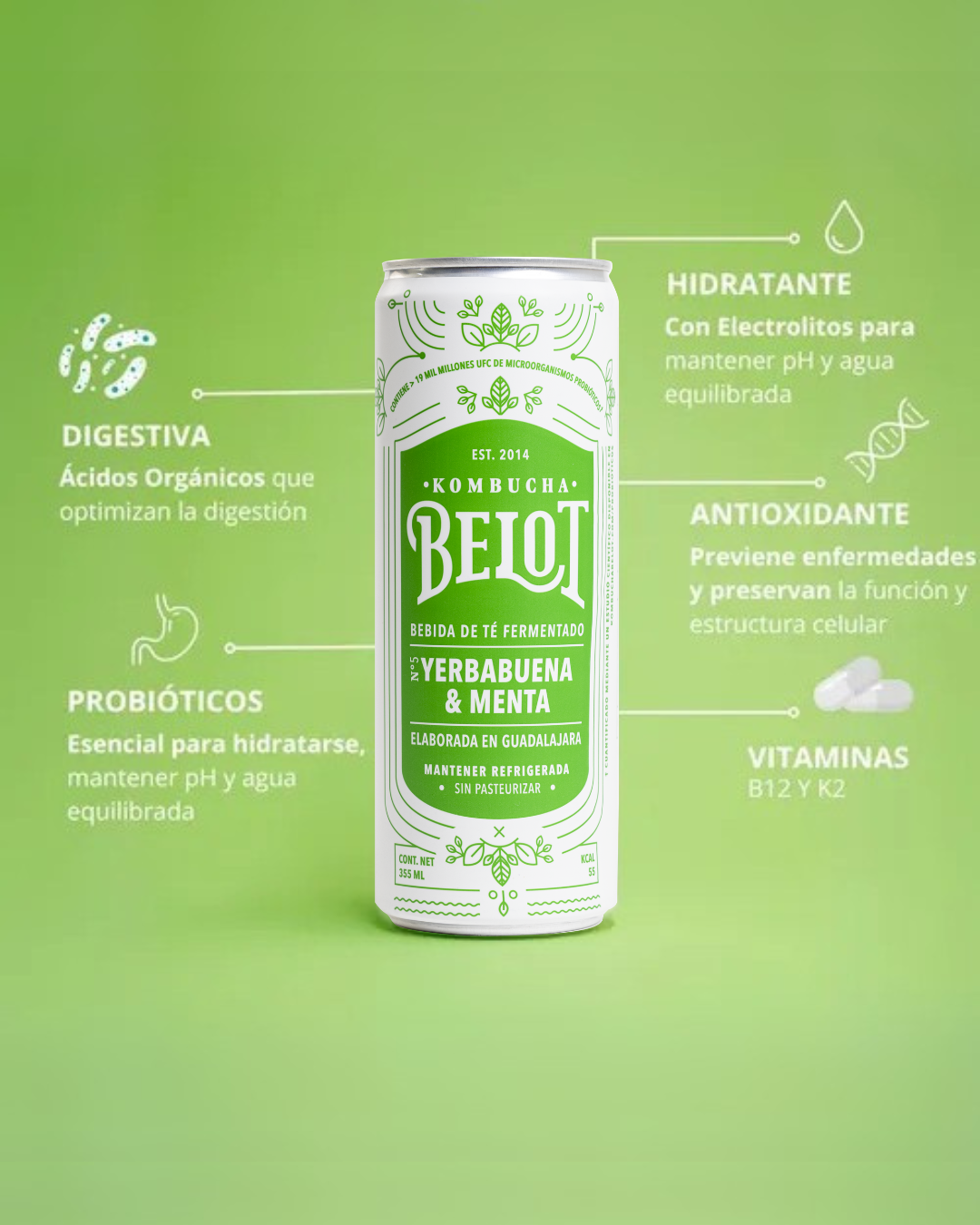 Kombucha Yerbabuena y Menta - Belot