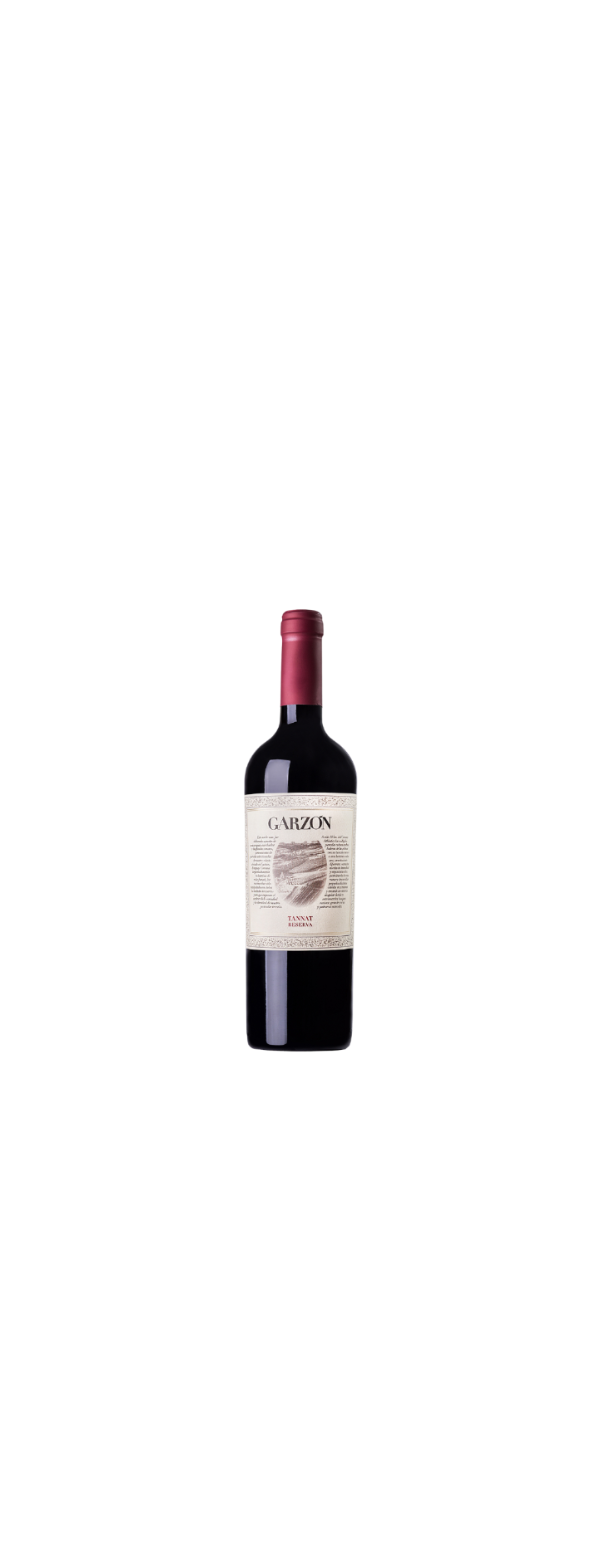 Vino Tinto Tannat Reserva