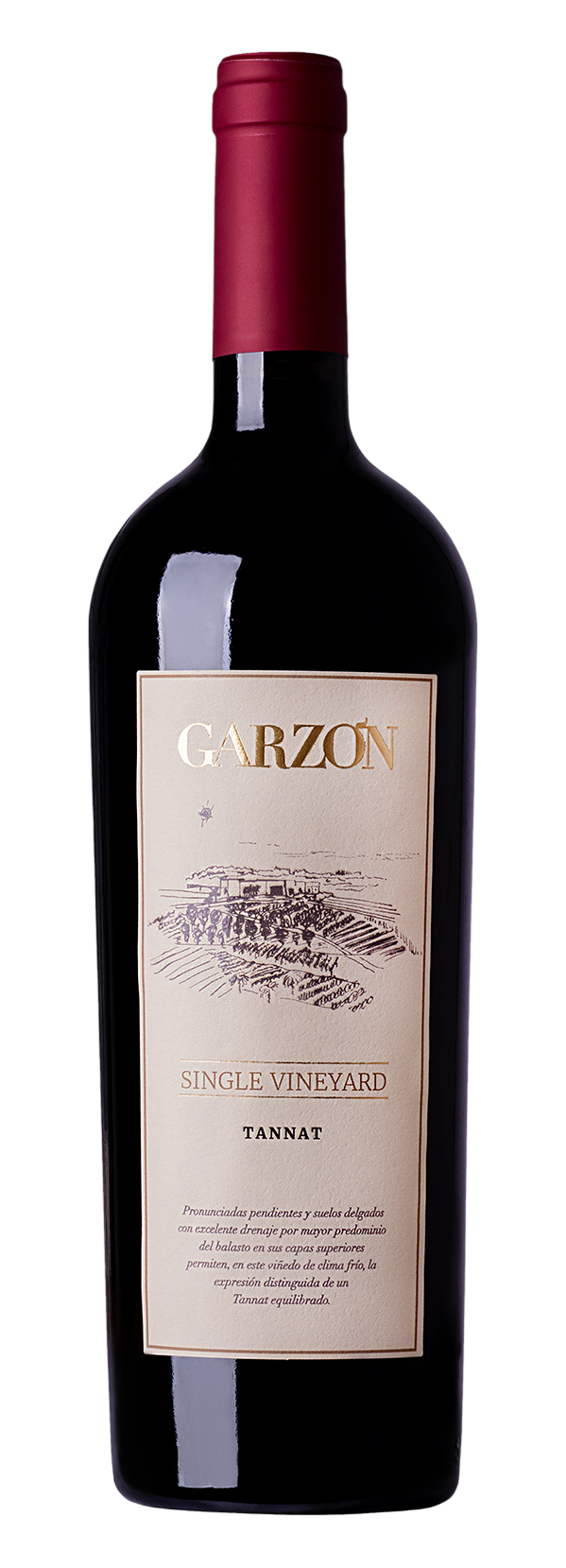 Vino Tinto Tannat Single Vineyard