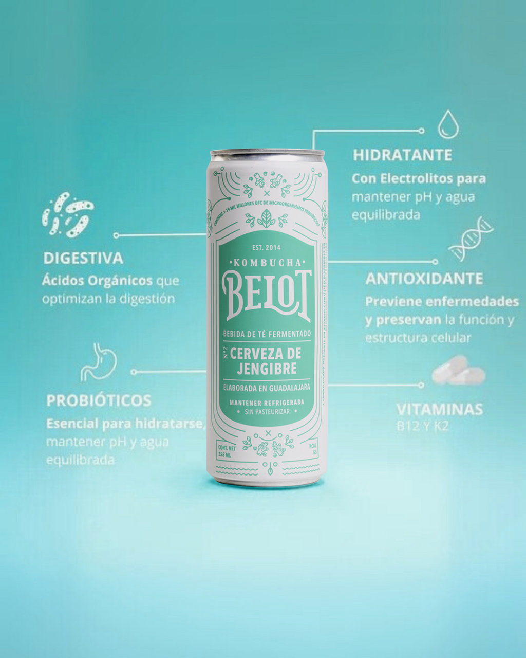 Kombucha Cerveza de Jengibre - Belot
