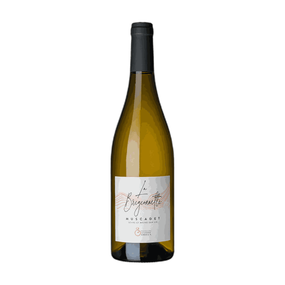 Botella de Vino Blanco La Bregeonnette Muscadet Sèvre